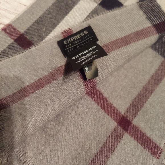 Express Men's plaid Soft Scarf - Picture 3 of 3